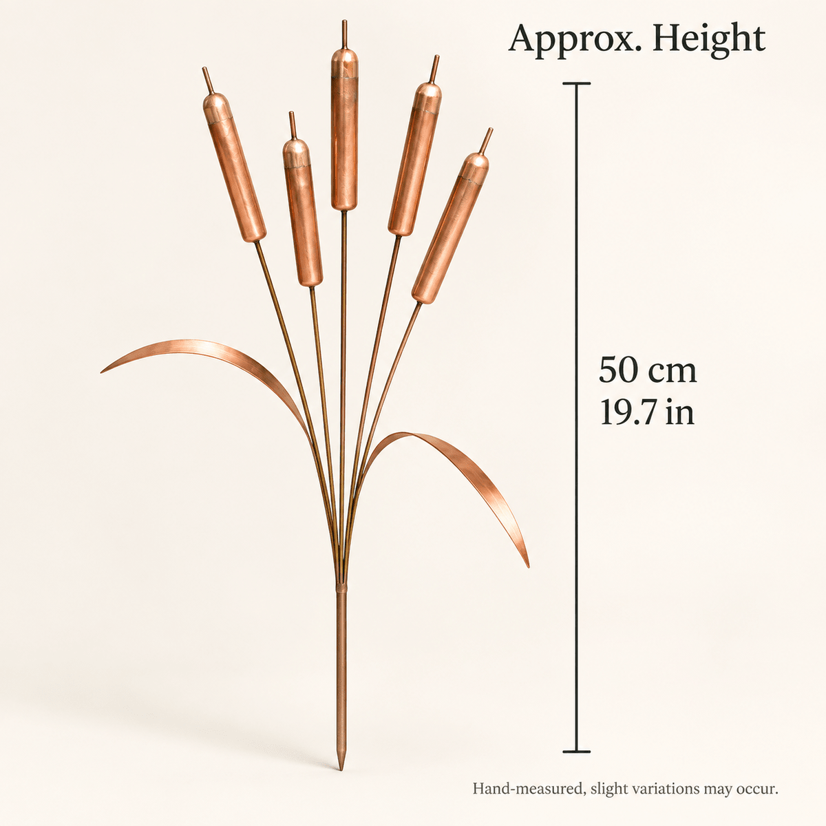 Cattail sculpture dimension reference supplied with the product imagery