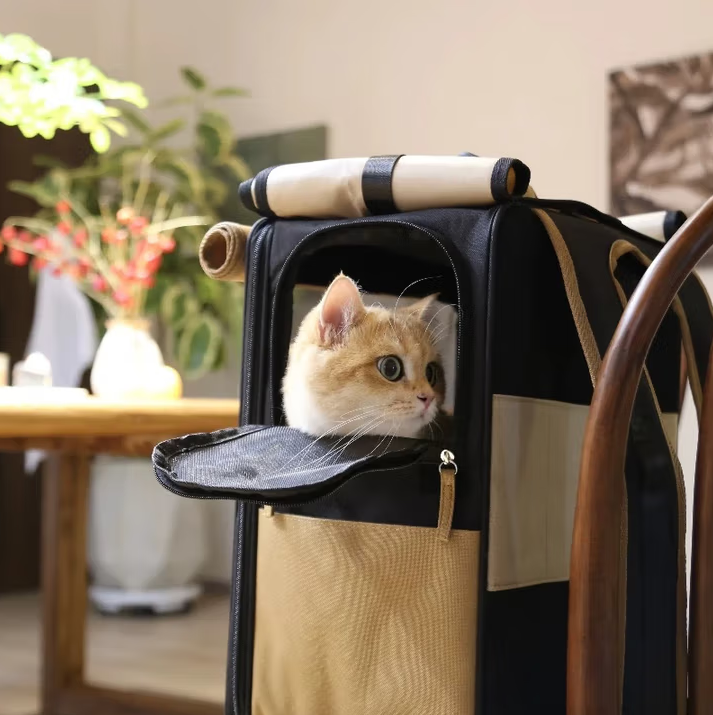 Adventure in Comfort and Style