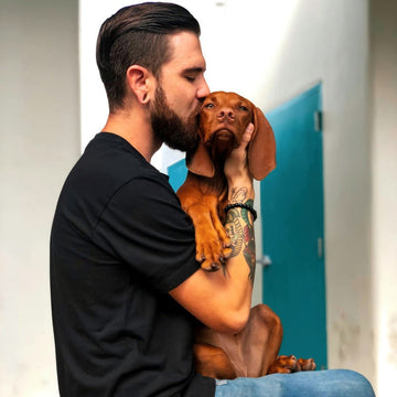 FOR THE LOYAL COMPANION