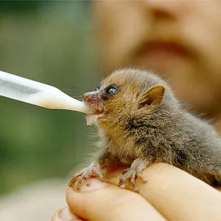 Wellness Starts from Within