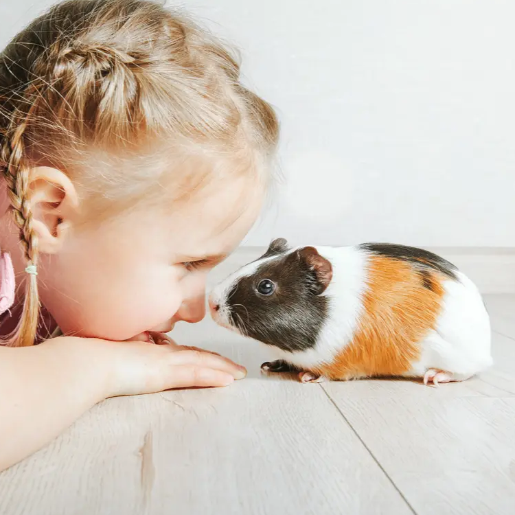 SMALL PETS, BIG PERSONALITIES