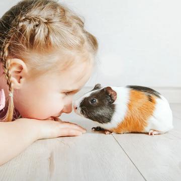 SMALL PETS, BIG PERSONALITIES