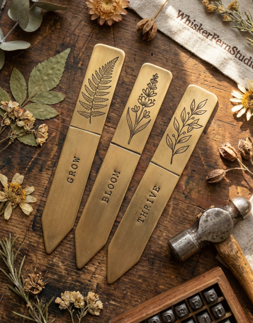 The Rainbow Gift Set