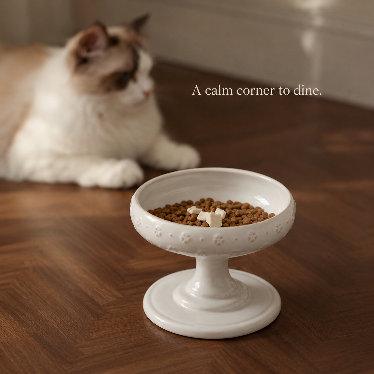 Maison Elevated Ceramic Cat Bowl