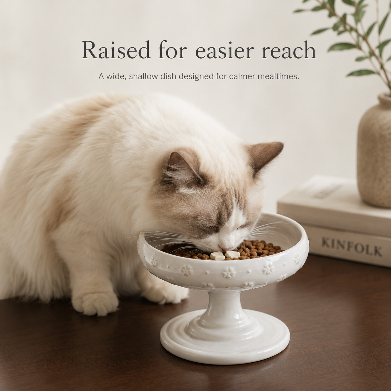 Maison Elevated Ceramic Cat Bowl