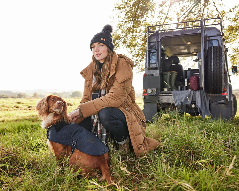 collection-banner-image