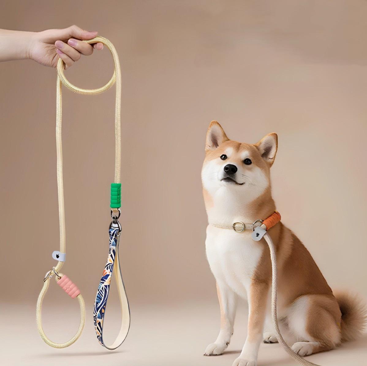 Durable Reflective Dog Leash