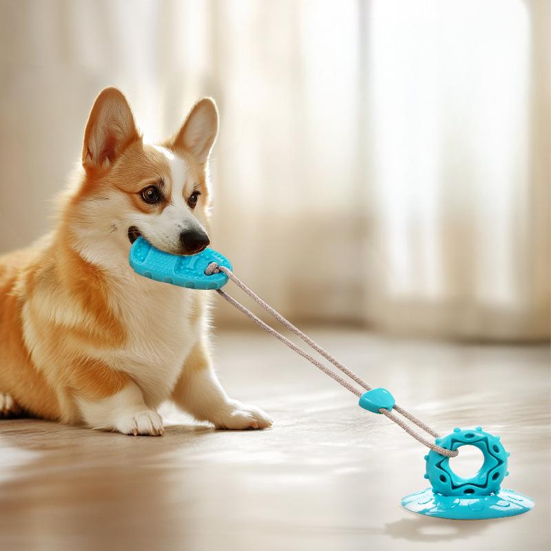 Blue TPR dog suction cup toy with rope for interactive tug-of-war play