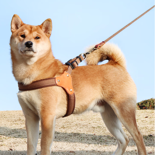No‑Pull Dog Harness
