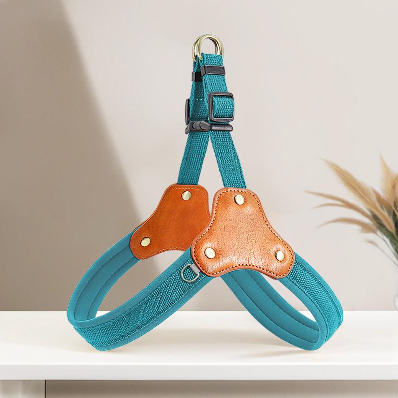 Blue no-pull Y-strap dog harness with padded straps and dual D-rings