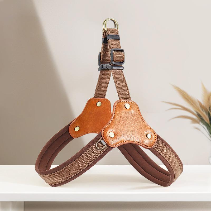 Blue no-pull Y-strap dog harness with padded straps and dual D-rings