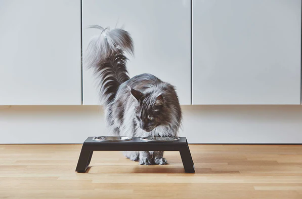 collection-banner-image