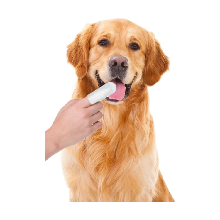 Pet teeth cleaning finger wipes jar with 50 pre-soaked textured wipes