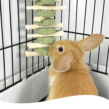 Bamboo and timothy hay chew skewer with clip-on loop for small pet cages