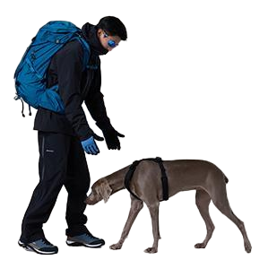 DAQQAB Hydrolite 1.0 Waterproof Dog Harness — Light Green