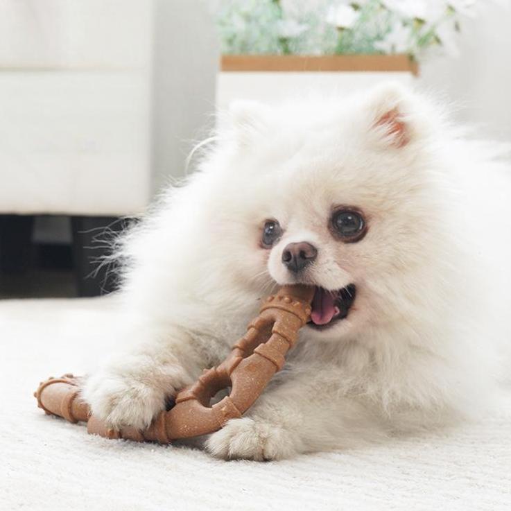 Wood-plastic composite dog chew toy in bone shape for dental care
