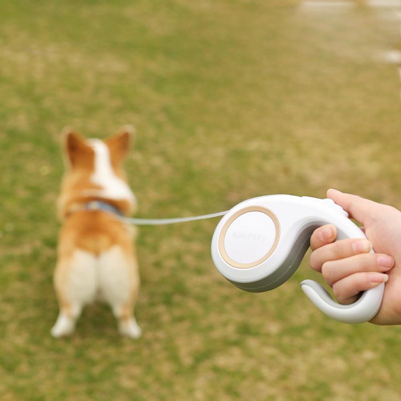 Retractable Dog Leash