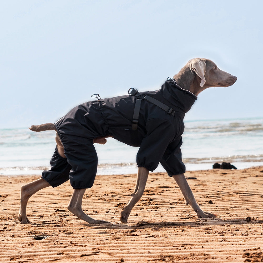 All‑Weather Dog Rain Suit with Harness