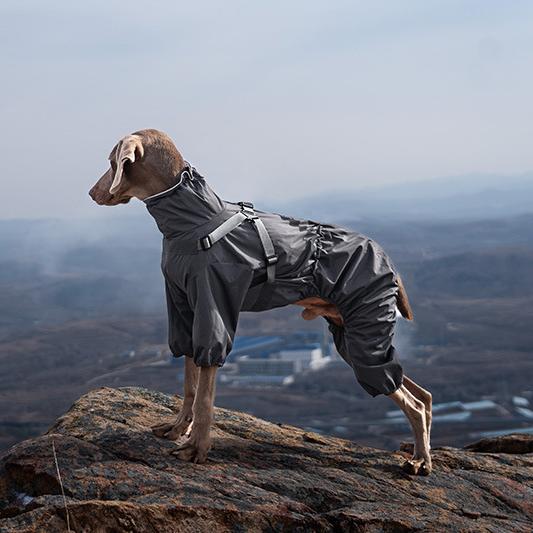 Black waterproof dog rain suit with built-in harness and reflective strips