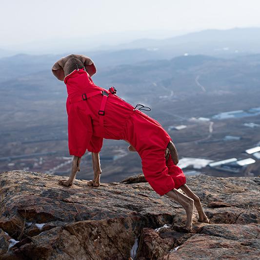 All‑Weather Dog Rain Suit with Harness