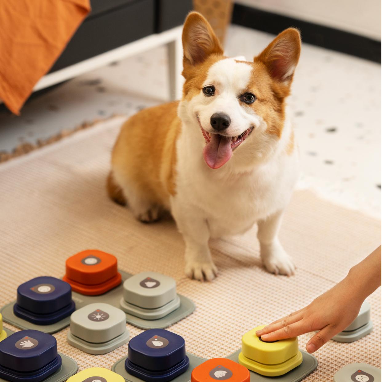 Recordable Pet Communication Buttons – 4 Pack with Non‑Slip Mat