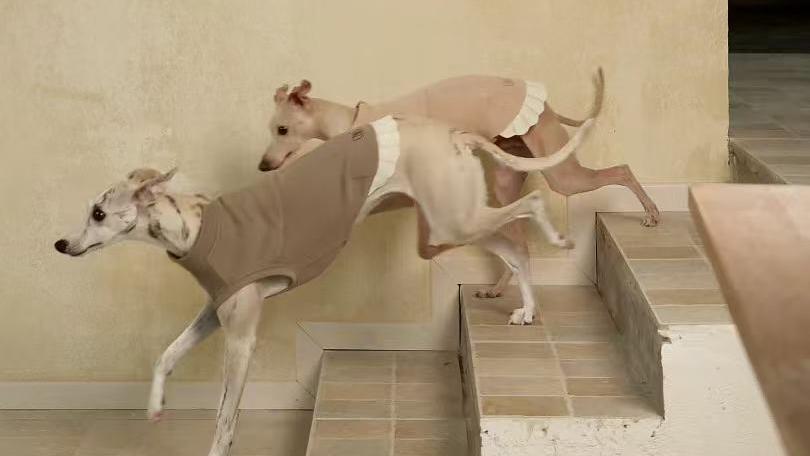 collection-banner-image