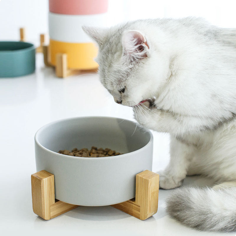 Ceramic Pet Bowl with Wood Stand
