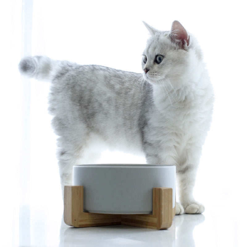 Ceramic Pet Bowl with Wood Stand