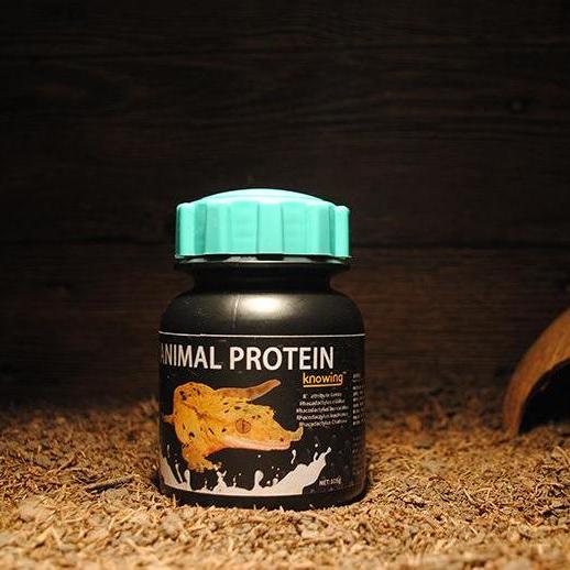 Gecko fruit paste jar with animal protein formula