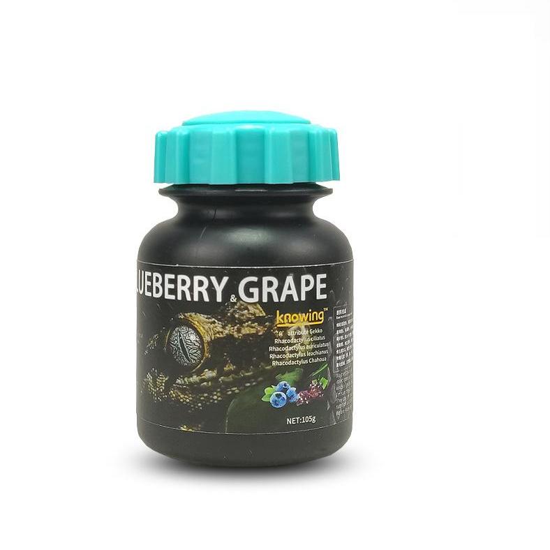 Gecko fruit paste jar in blueberry and grape flavor