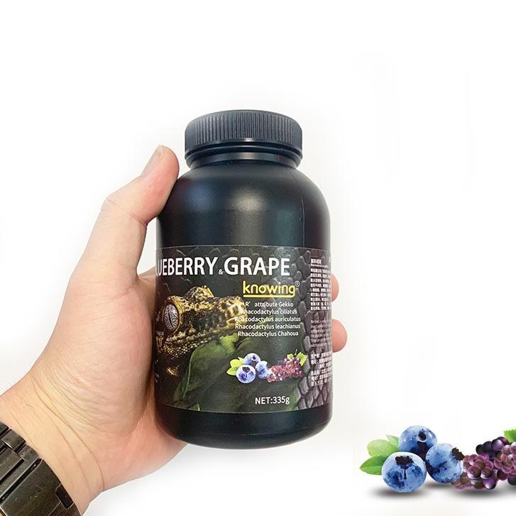 Gecko Fruit Paste – Blueberry & Grape