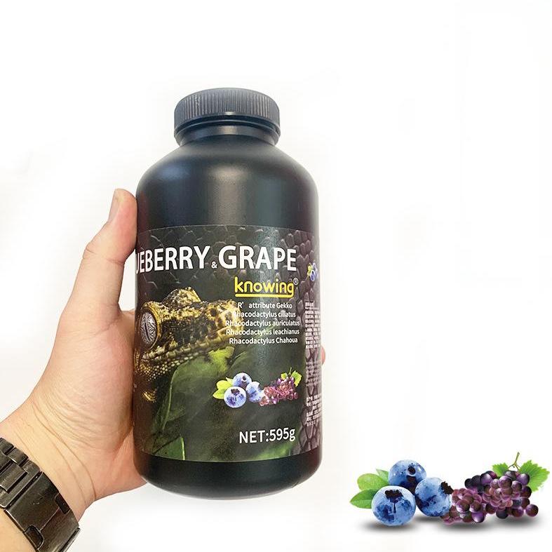 Gecko Fruit Paste – Blueberry & Grape