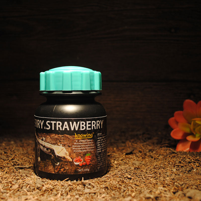 Gecko fruit paste jar in blueberry and grape flavor