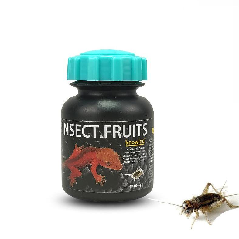Gecko fruit paste jar with insect and fruits blend