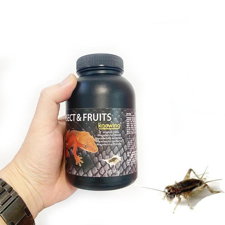 Gecko Fruit Paste – Insect & Fruits