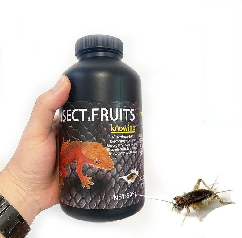 Gecko Fruit Paste – Insect & Fruits