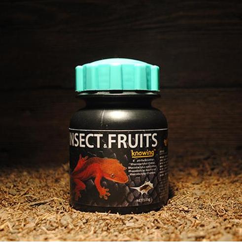Gecko fruit paste jar with insect and fruits blend