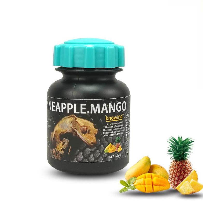 Gecko fruit paste jar in pineapple and mango flavor