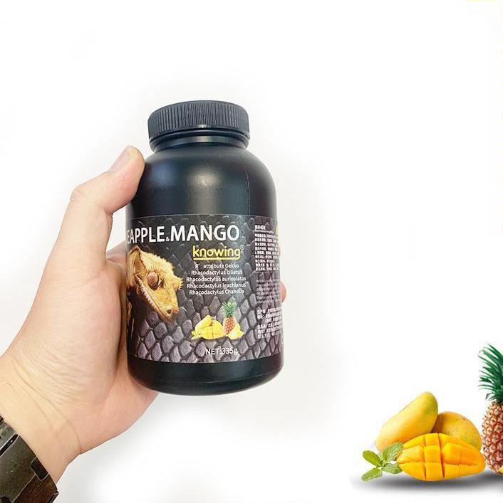 Gecko Fruit Paste – Pineapple & Mango