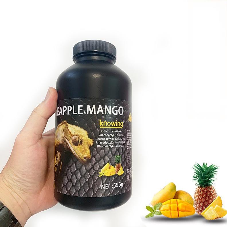 Gecko Fruit Paste – Pineapple & Mango