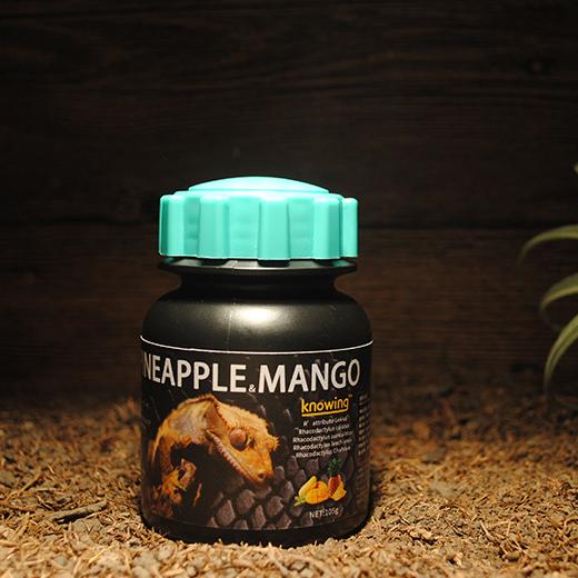 Gecko fruit paste jar in pineapple and mango flavor
