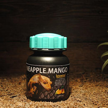 Gecko fruit paste jar in pineapple and mango flavor