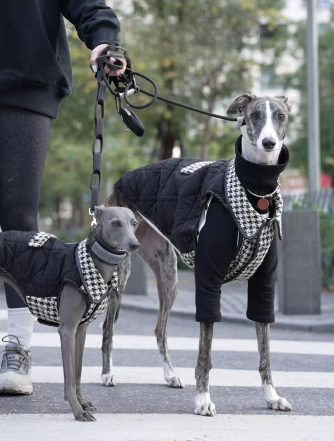 Black and white houndstooth dog vest with classic pattern