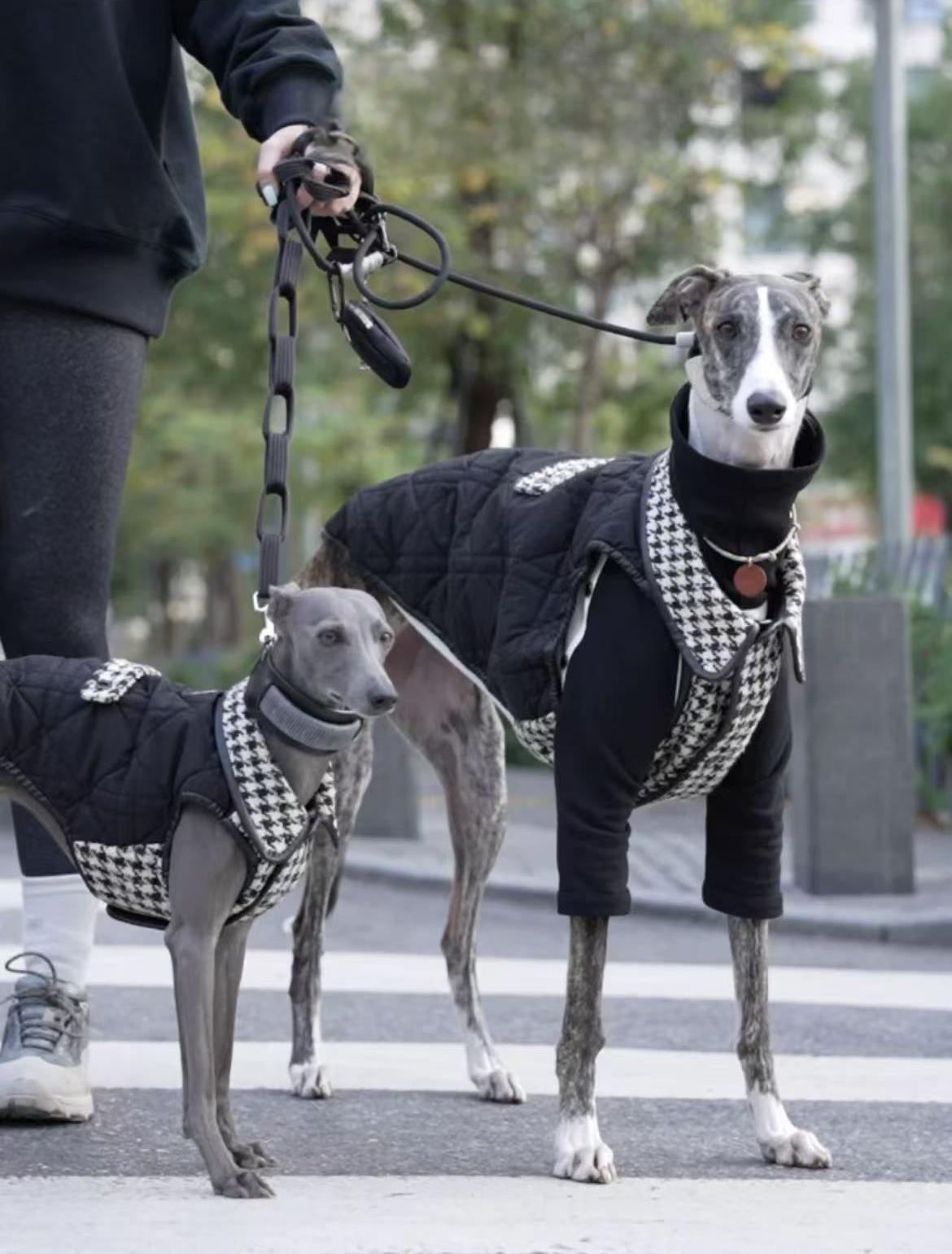 Black and white houndstooth dog vest with classic pattern
