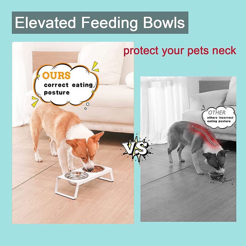 Foldable Elevated Feeding Bowls