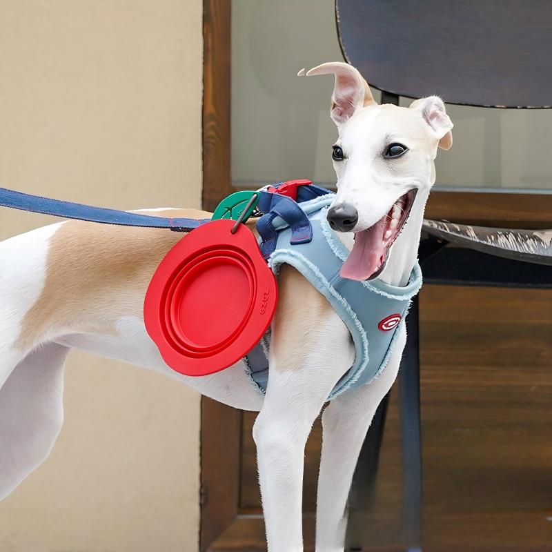 Fruit Travel Collapsible Pet Bowl