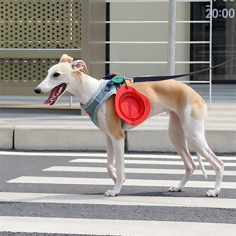 Fruit Travel Collapsible Pet Bowl