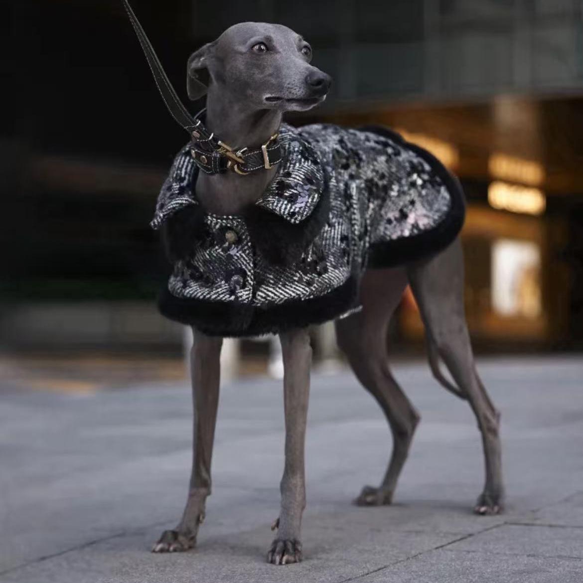 Black houndstooth wool dog coat with monocle detail and elegant design