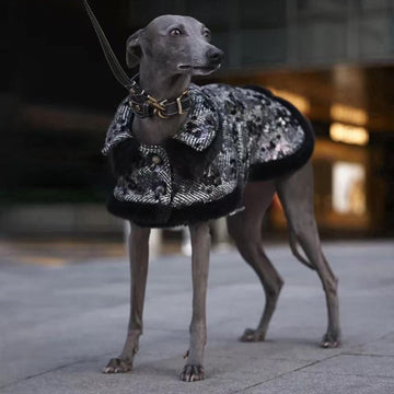 Black houndstooth wool dog coat with monocle detail and elegant design