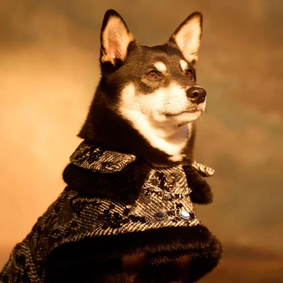 Black Houndstooth Party Dog Coat